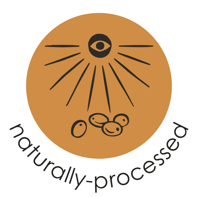 Naturally processed coffee badge indicating fruit-forward light roast for Oval Coffee Roasters The Natural blend