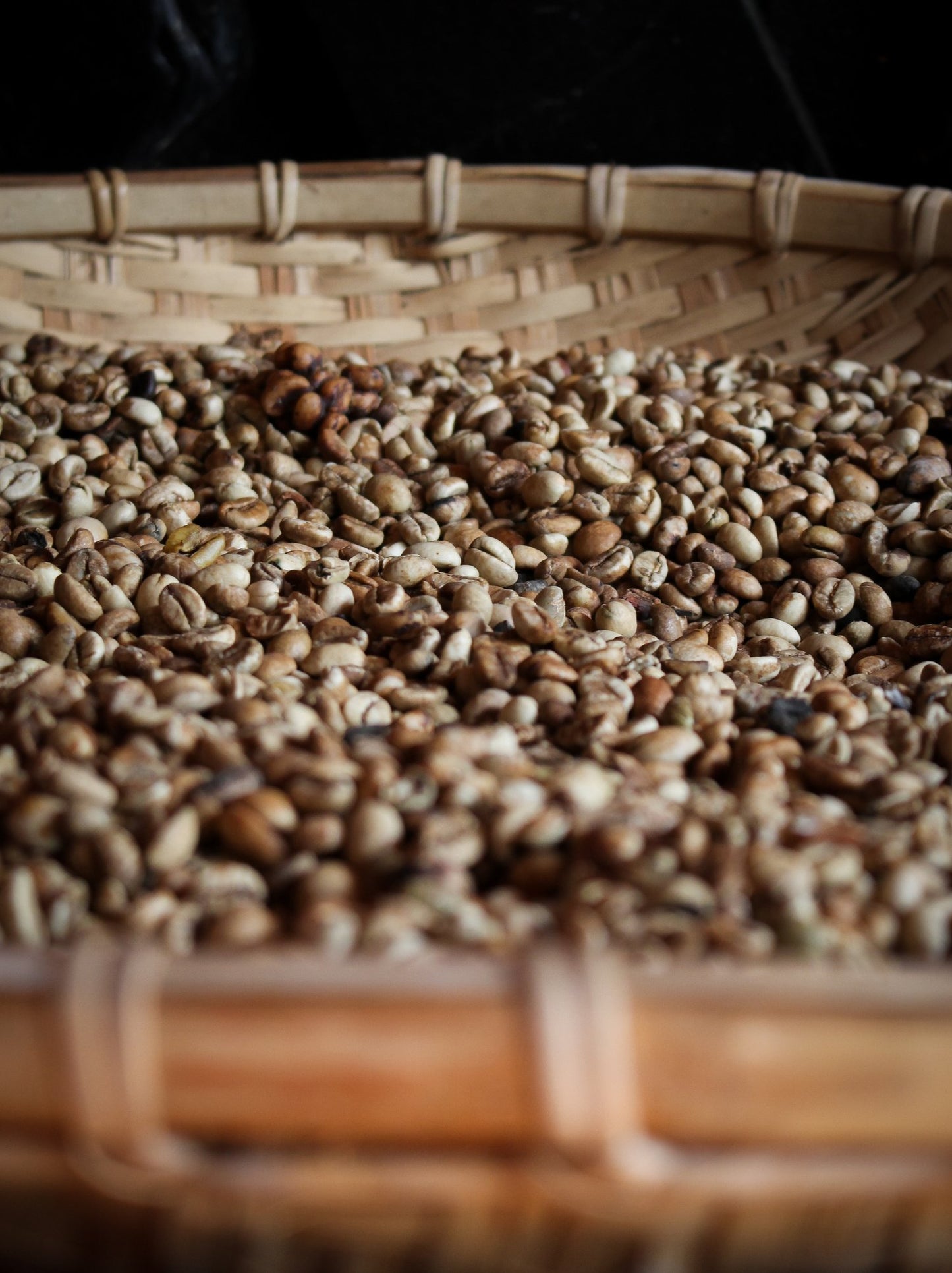 MONTHLY ROASTERS CHOICE SUBSCIPTION - OVAL COFFEE ROASTERS