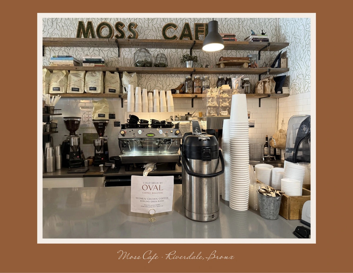 Coffee service equipment on the counter at Moss Cafe in Riverdale.