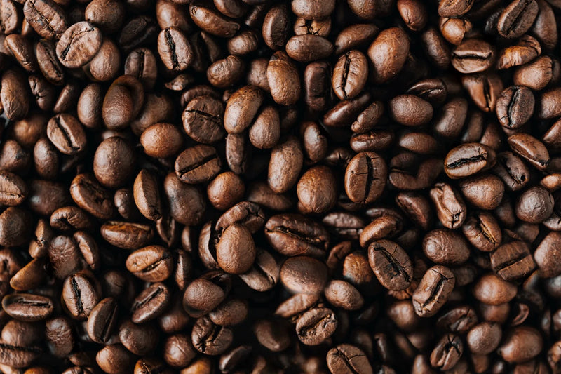 Close-up of roasted Costa Rican whole coffee beans for Oval Coffee Roasters, showing brown surfaces, curved shapes, and distinct center creases.