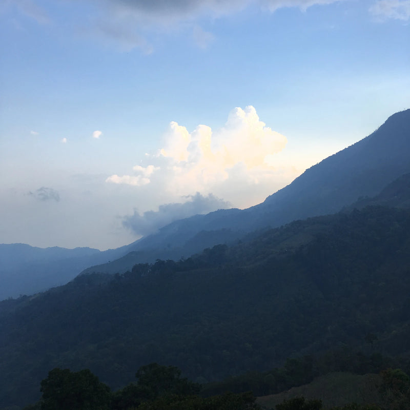 Forested mountain slopes fading into mist beneath sunlit clouds and a pale blue sky in Santa Barbara, Honduras, photographed during a coffee-origin visit.