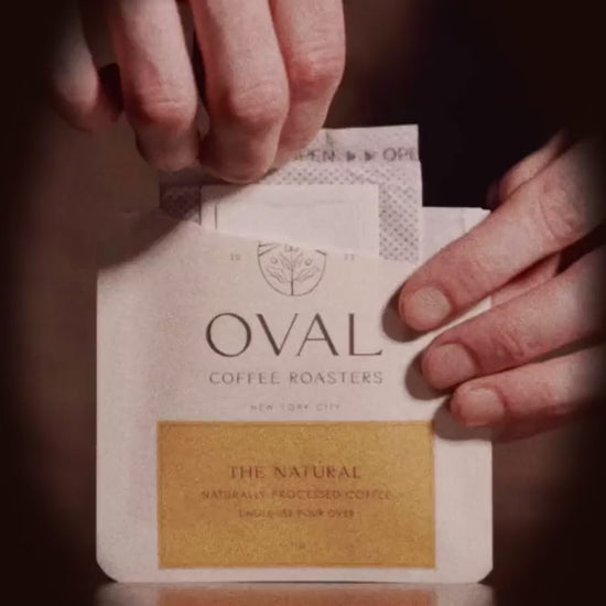 Oval Coffee Roasters The Natural pour over single serve coffee brewing over a mug with hot water featuring naturally processed light to medium roast specialty coffee roasted in New York City