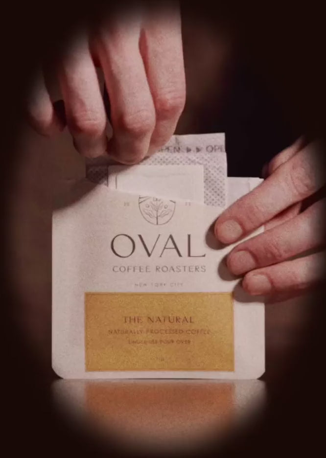 Oval Coffee Roasters The Natural pour over single serve coffee brewing over a mug with hot water featuring naturally processed light to medium roast specialty coffee roasted in New York City