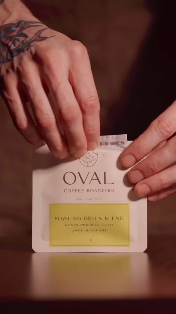 Bowling Green Blend light roast coffee by Oval Coffee Roasters, filmed in Bowling Green Park and Battery Park in Lower Manhattan, featuring co-founder and Director of Coffee Christopher Alsbach preparing specialty coffee near the historic Bowling Green subway station. The video highlights the blend’s inspiration rooted in NYC’s oldest public park, the nearby Hudson River, and the legacy of women coffee producers whose coffees historically entered New York through The Battery.